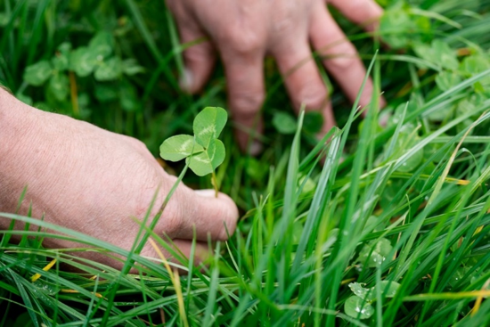 The rise of the conscious consumer sees growing demand for New Zealand ...