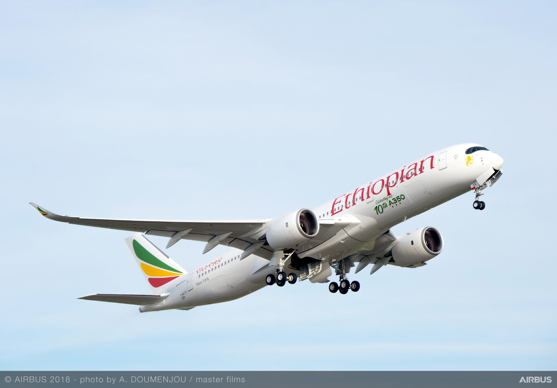 pet travel ethiopian airlines